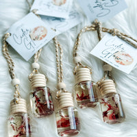 Fall Car Diffusers