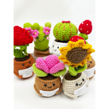 Crochet Positive Succulents/Plants