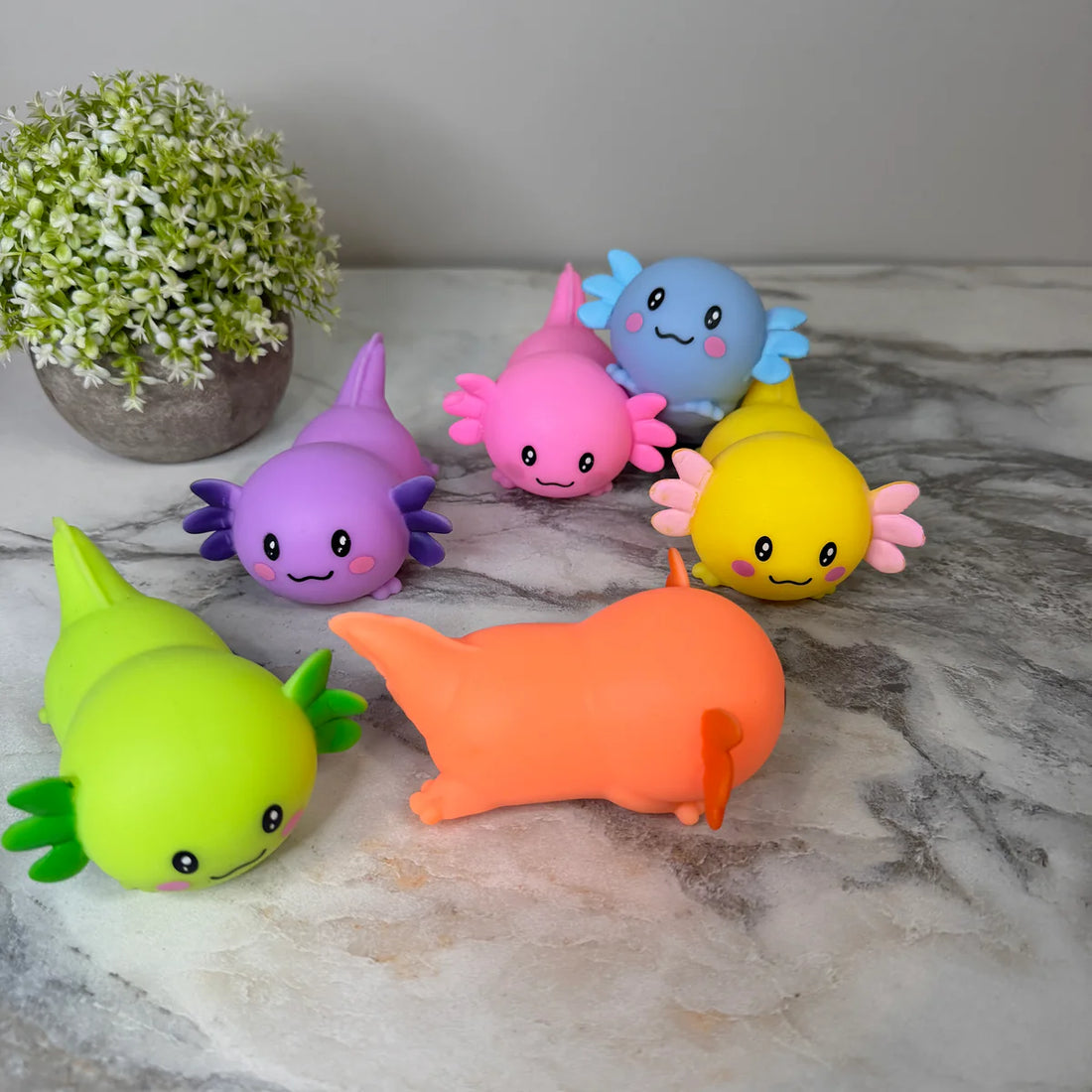 Squishy Axolotl 