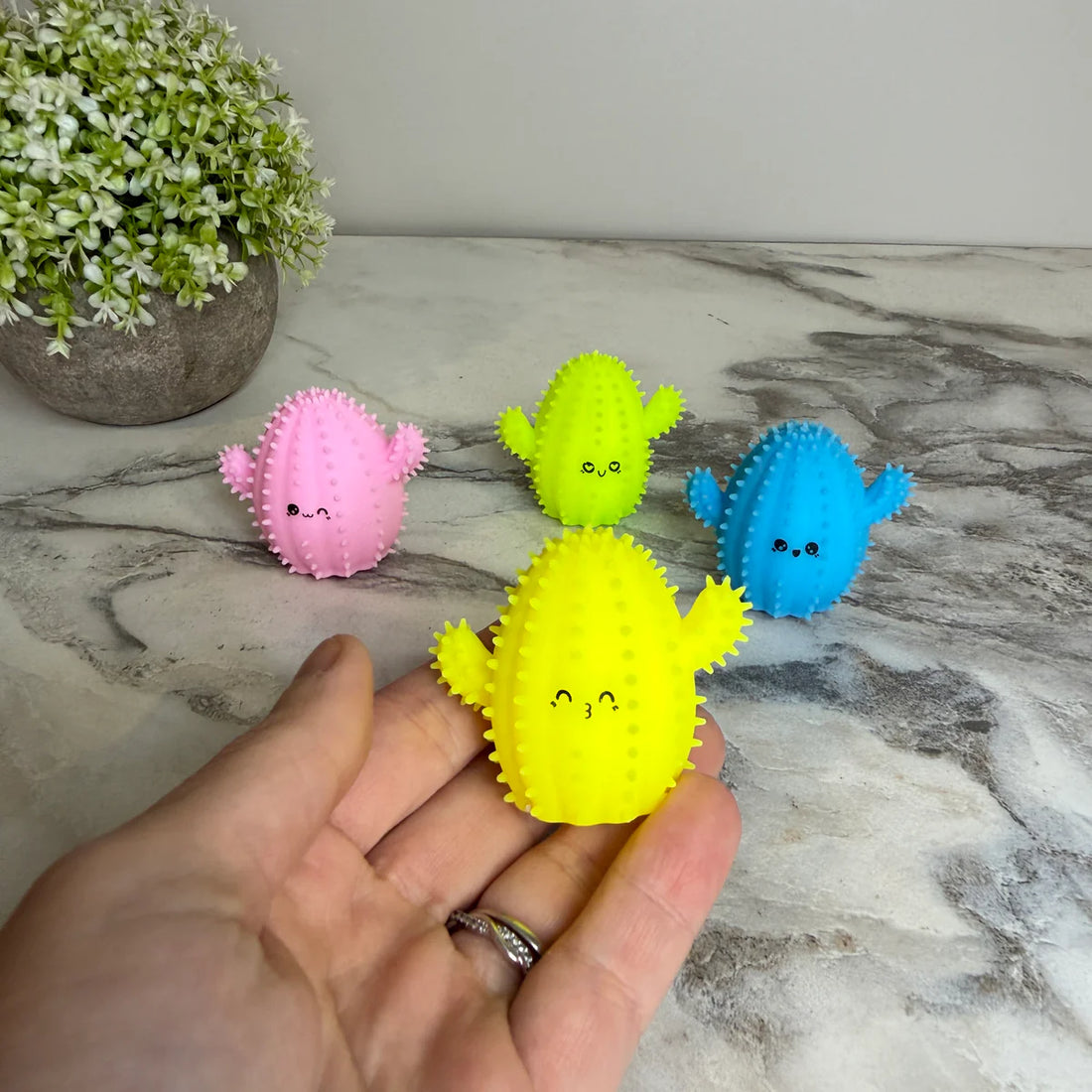 Cactus Squishy