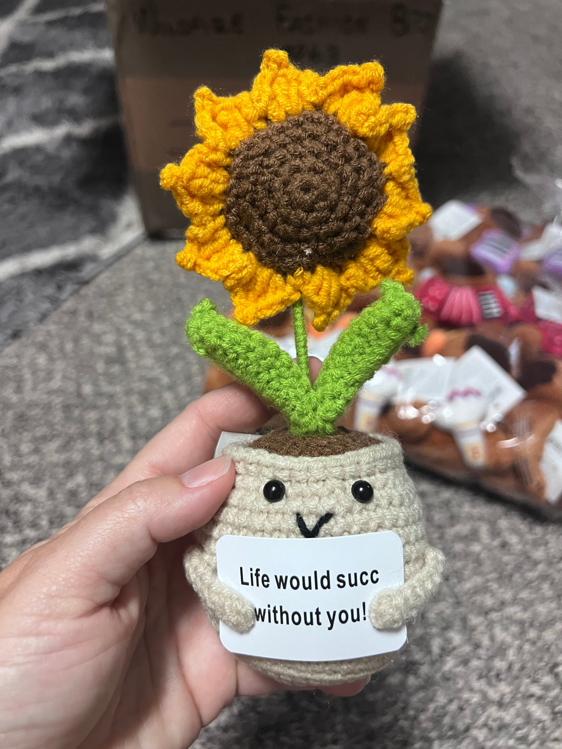 Crochet Positive Succulents/Plants