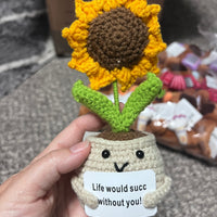 Crochet Positive Succulents/Plants