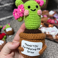 Crochet Positive Succulents/Plants