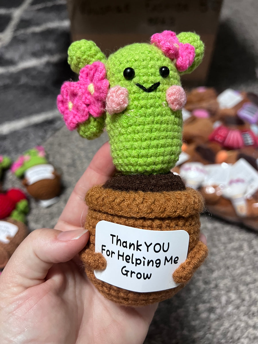 Crochet Positive Succulents/Plants