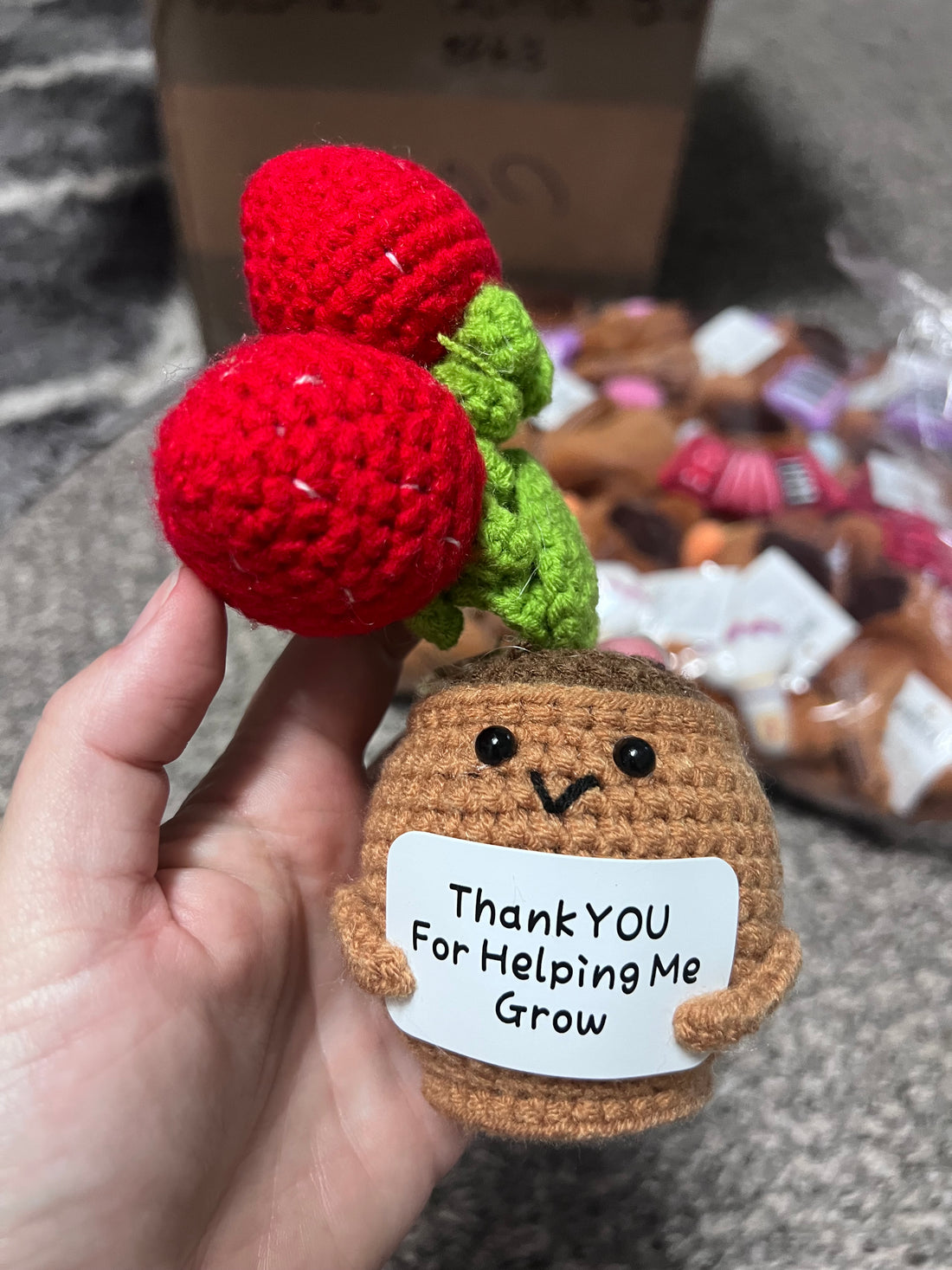 Crochet Positive Succulents/Plants