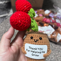 Crochet Positive Succulents/Plants