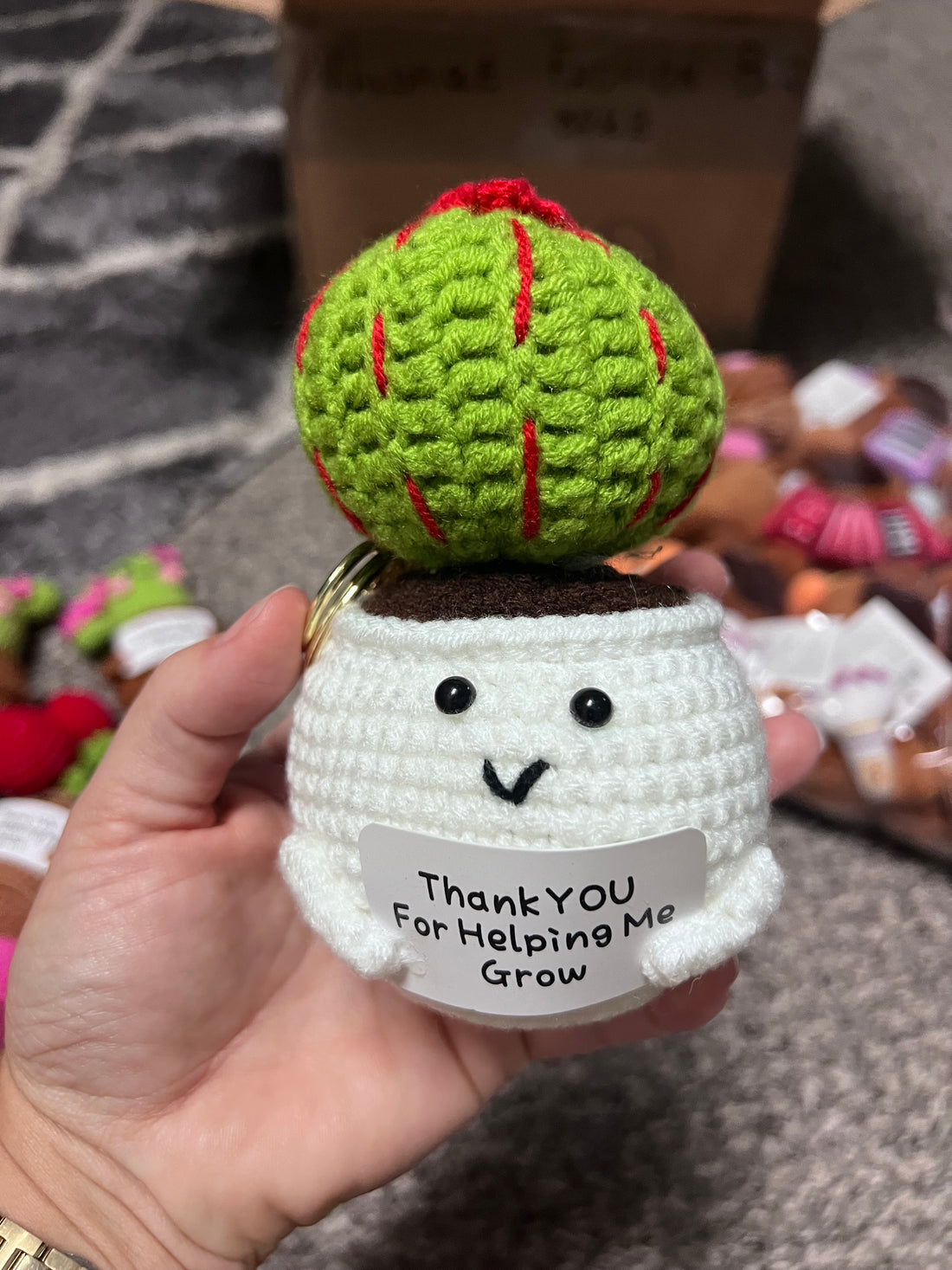 Crochet Positive Succulents/Plants