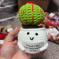 Crochet Positive Succulents/Plants