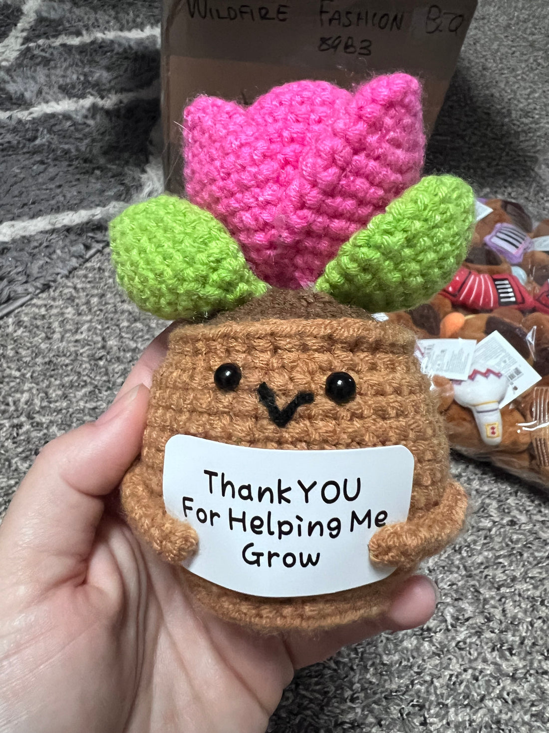 Crochet Positive Succulents/Plants
