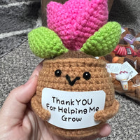 Crochet Positive Succulents/Plants
