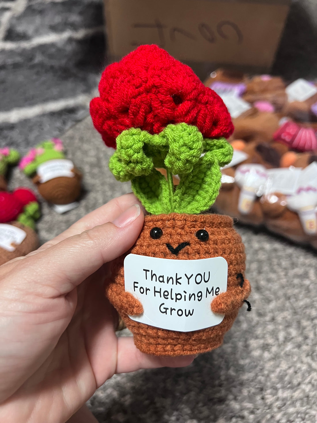 Crochet Positive Succulents/Plants