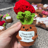 Crochet Positive Succulents/Plants